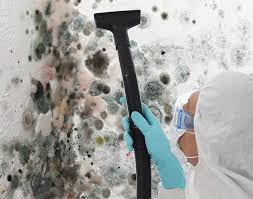 Best Biohazard Mold Removal  in Bayside, WI